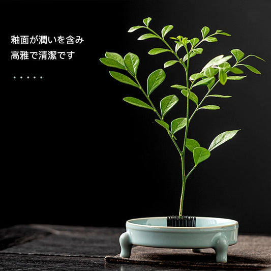 三足洗(さんぞくせん)