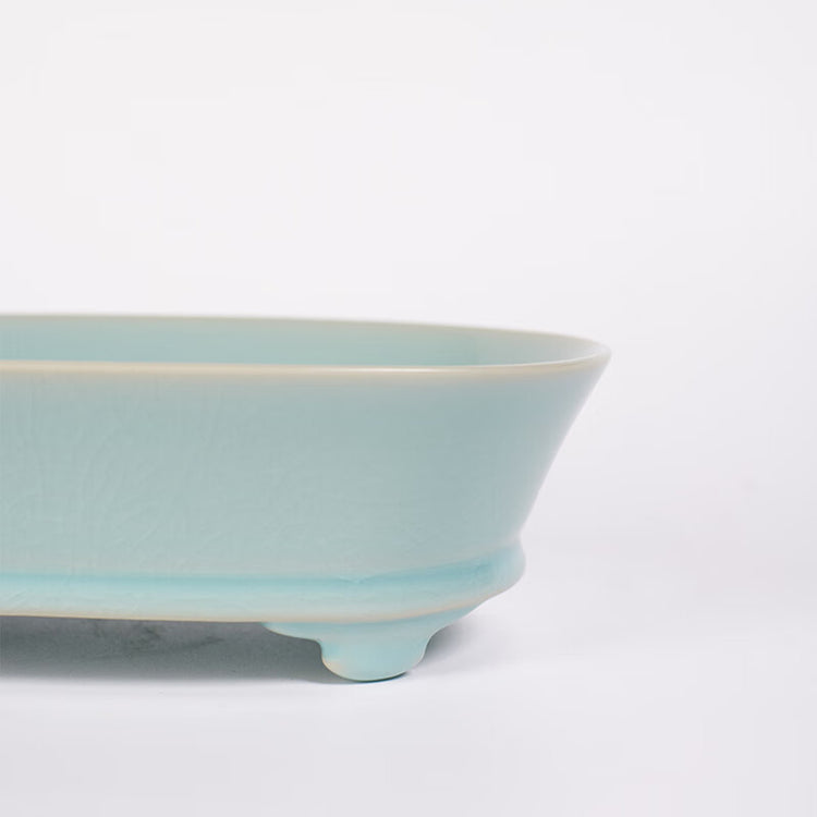 水仙盆（すいせんぼん）